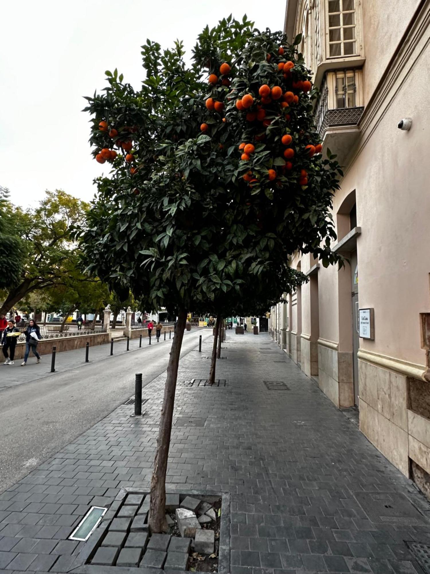 Appartamento Malaga'S Secret Esterno foto